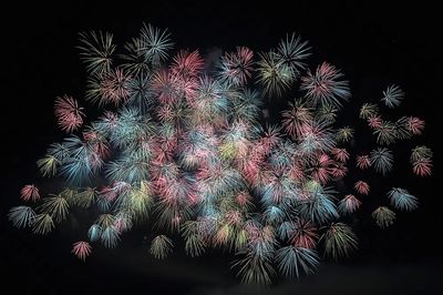 Colorful Fireworks Display Poster. poster