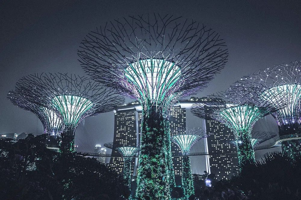 Gardens by the Bay — Night Photography Poster. poster detail