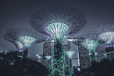 Gardens by the Bay — Night Photography Poster. poster