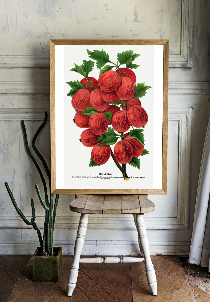 Gooseberry Industry Botanical Print room preview