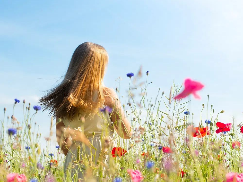 Girl in Flower Field — Photography Print. poster — photography art