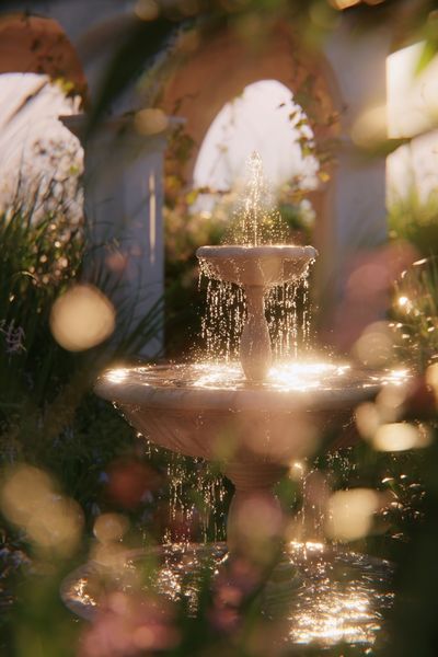 Garden Fountain — Nature Print. poster