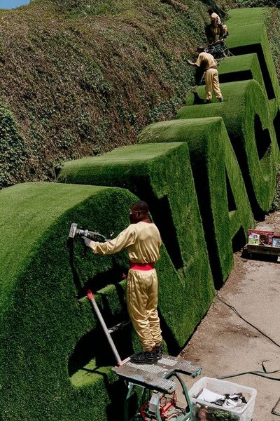 Green Grass Sculptures — Photography Print. poster print