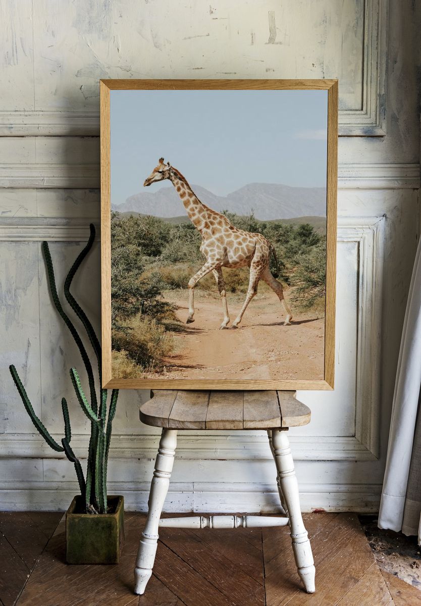 Giraffe. — room view 1