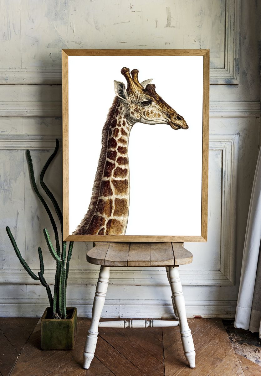 Giraffe Portrait Illustration Poster. — room view 1