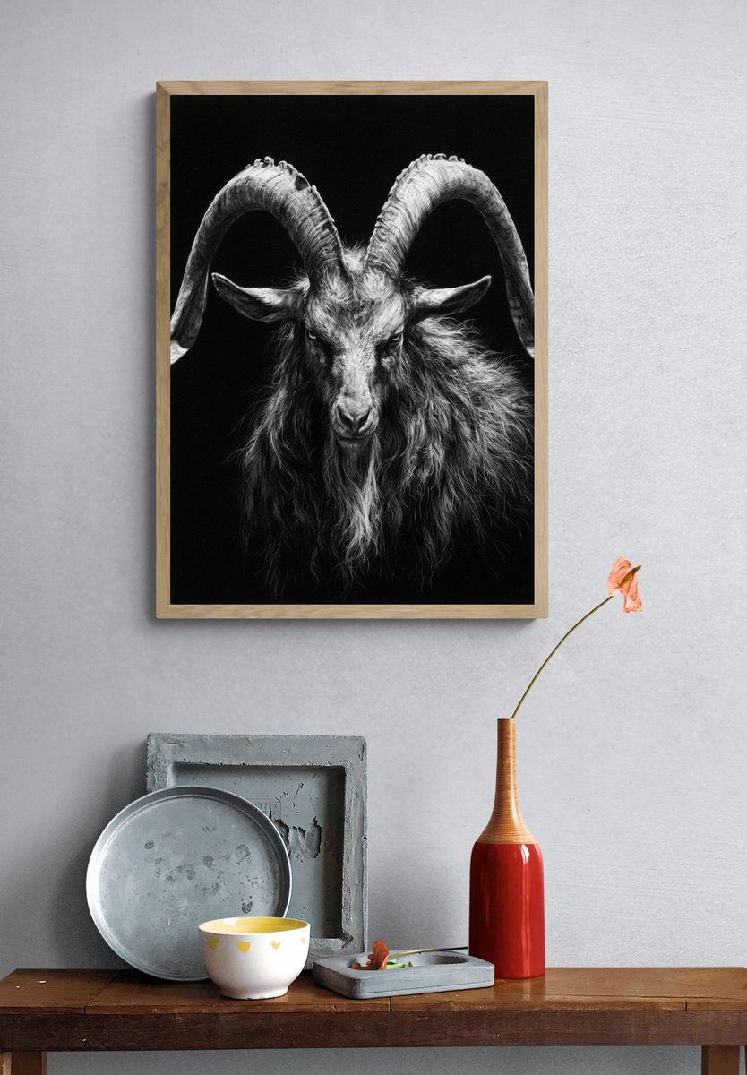 Black Goat Portrait Photography Poster. — room view 3