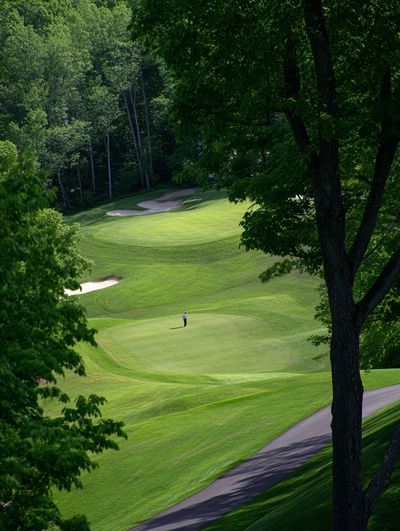 Green Golf Course Landscape Poster. poster
