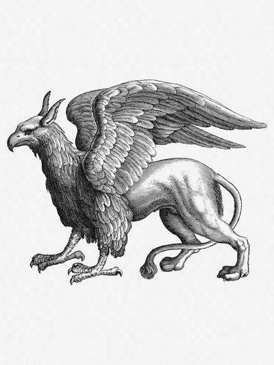 Mythical Griffin Illustration Poster. poster print