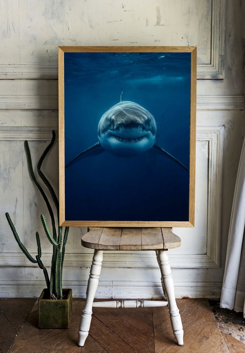 Great White Shark Underwater Poster room preview