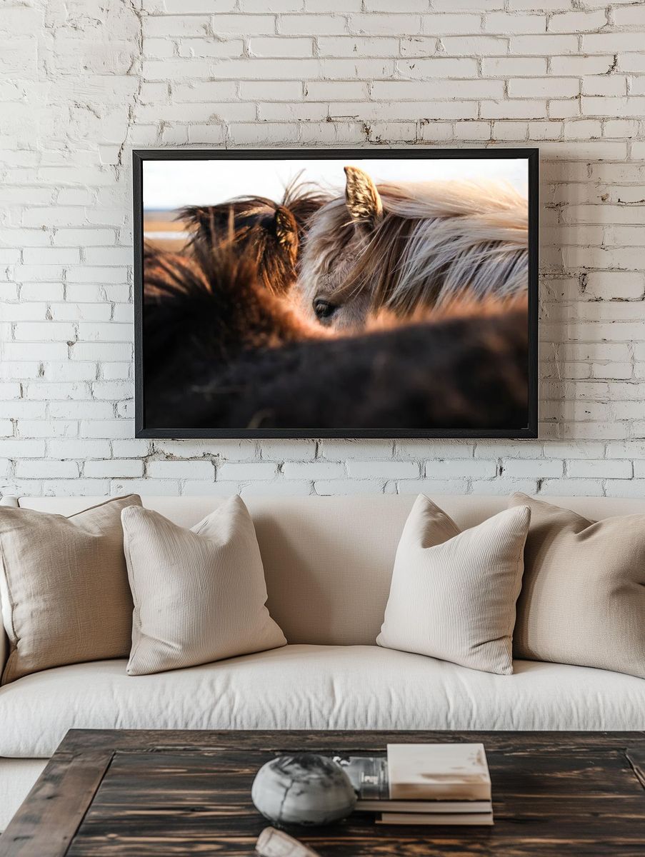 Horses in Harmony — Photography Print. room preview