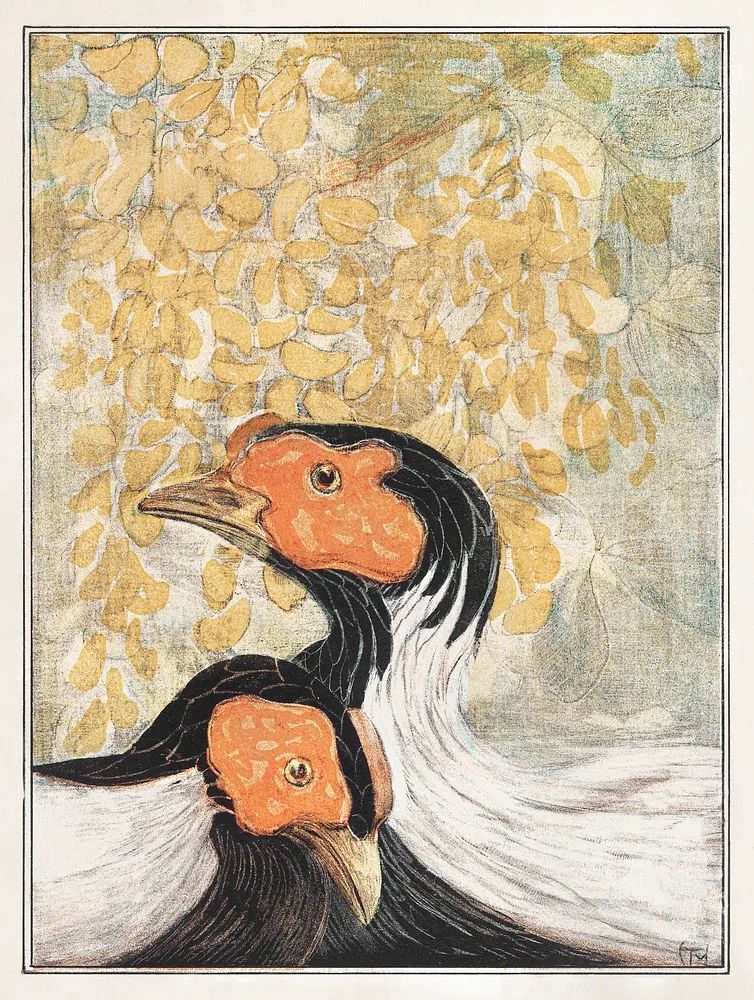 Hornbill Pair Vintage Illustration Poster. poster detail