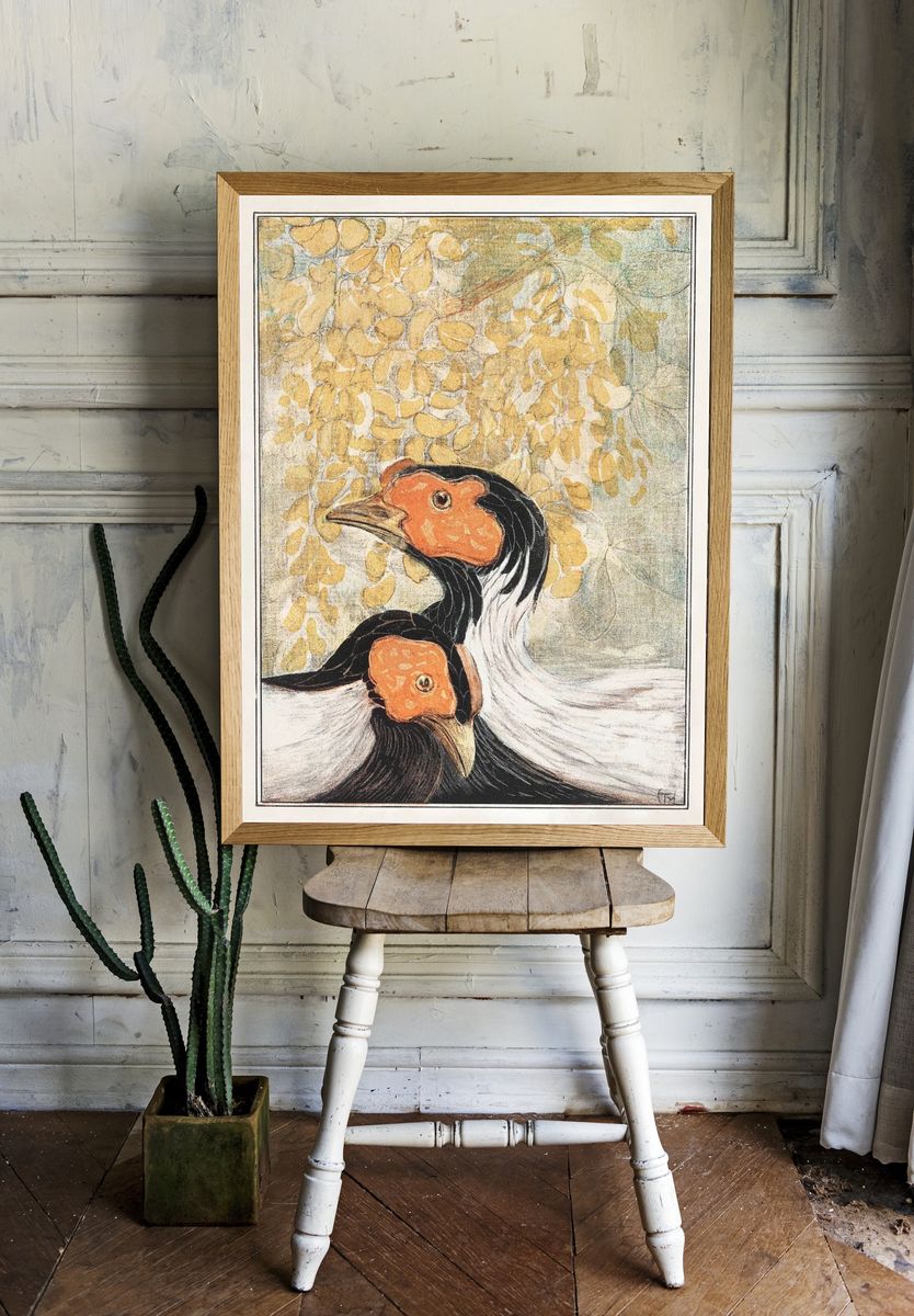 Hornbill Pair Vintage Illustration Poster. — room view 1