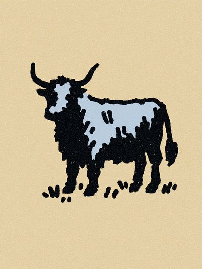 Highland Cow Illustration Poster. poster