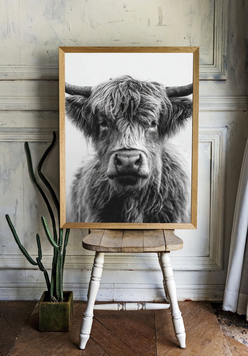Highland Cow — Black and White Print room preview