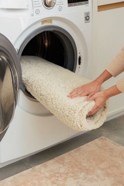 Washing a Cozy Rug — Home Decor Print. poster
