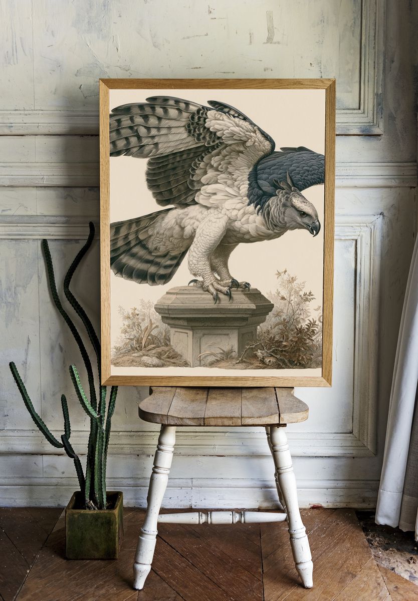 Harpy Eagle Botanical Illustration Poster. — room view 1