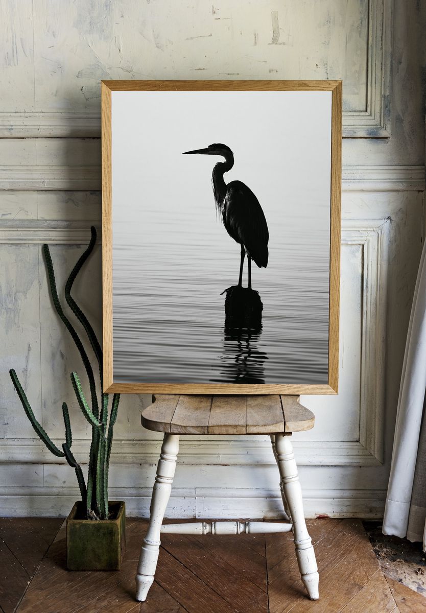 Heron Silhouette Photography Poster. — room view 1