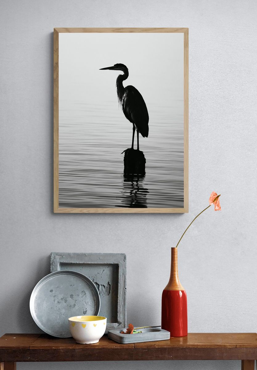 Heron Silhouette Photography Poster. — room view 3