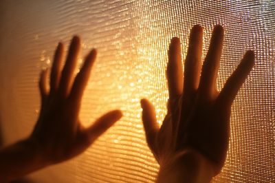 Hands Against the Light