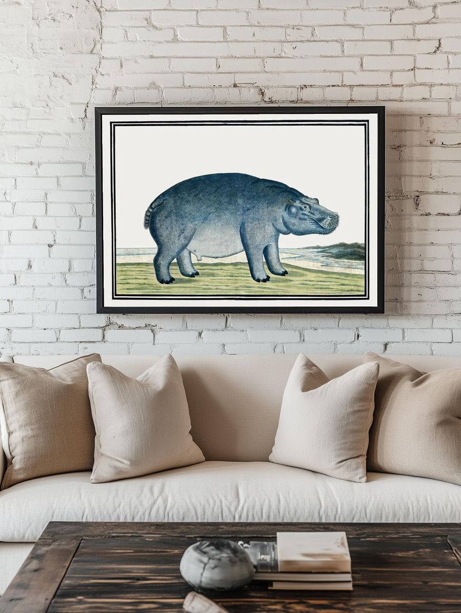 Hippo Illustration — Vintage Print. room preview