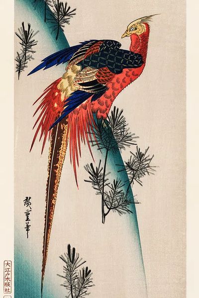 ukiyo-e illustration, Pheasant & Small. poster