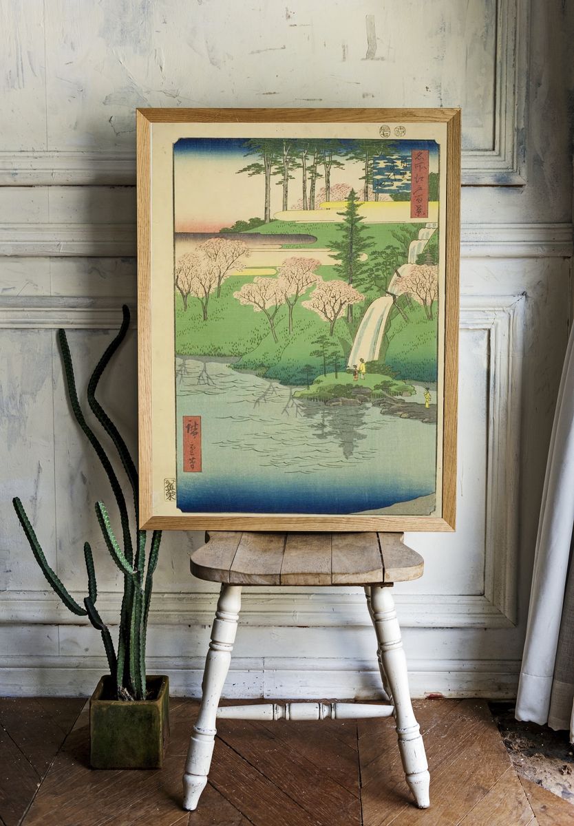 Chiyogaike Pond, Meguro (Meguro Chiyogaike). room preview