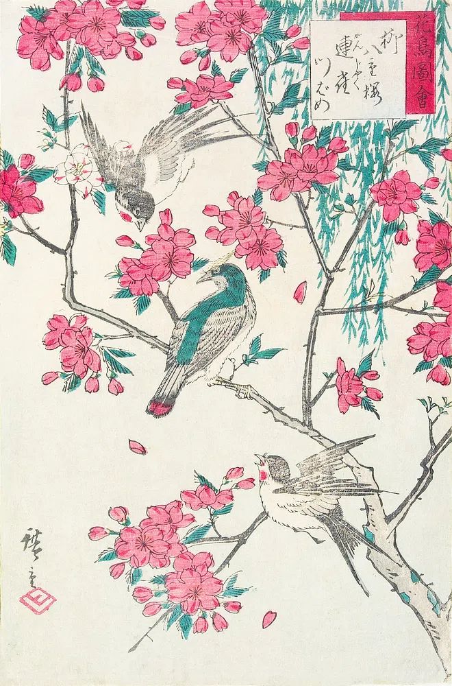 Willow, Cherry Blossoms, Sparrows Swallow. poster — fine-art art