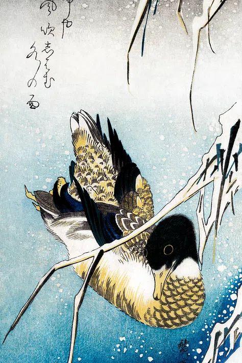 Mallard duck (1843) vintage Japanese. poster — fine-art art