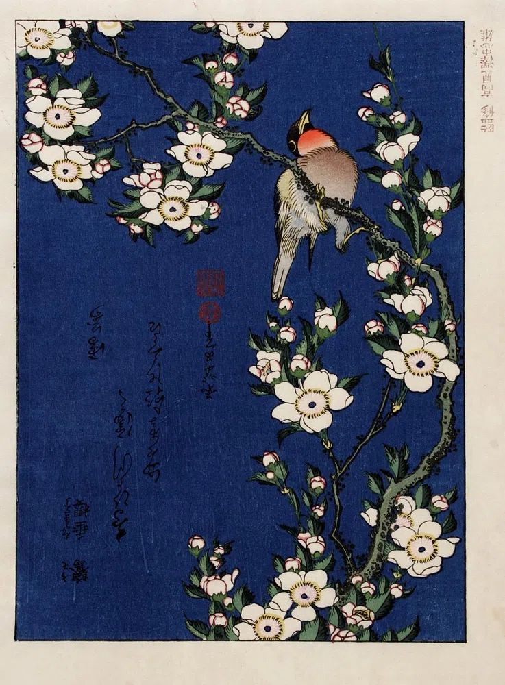 Katsushika Hokusai (1760-1849), Robin branch. poster — fine-art art