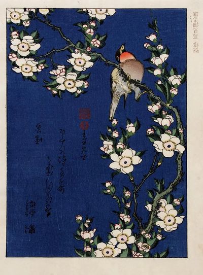 Katsushika Hokusai (1760-1849), Robin branch. poster print