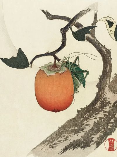 Kakivrucht met Sprinkhaan by Katsushika Hokusai (1890) — Art Print. poster print