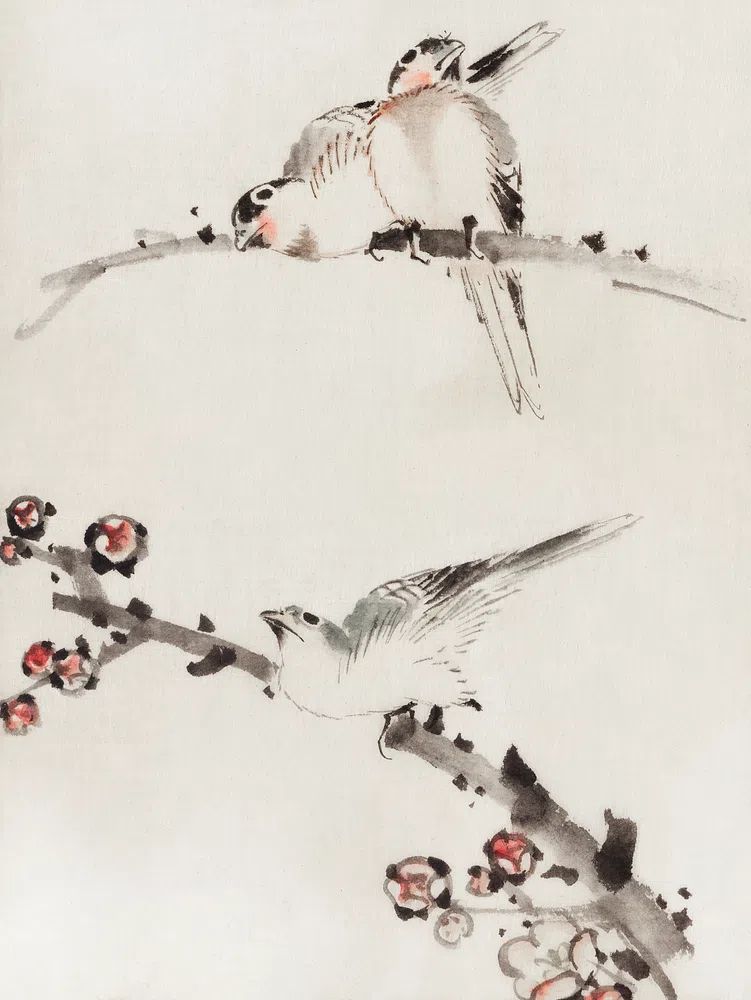 Three Birds Perched Branches, One. poster detail