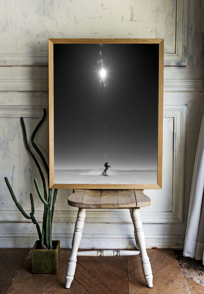 Rearing Horse Monochrome Poster. — room view 1