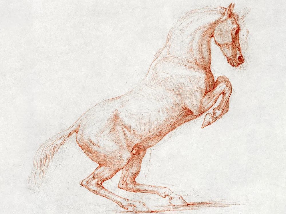A Prancing Horse, Facing Right (ca. 1790). poster — animals art