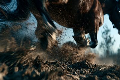 Galloping Horse Action Photography Poster. poster