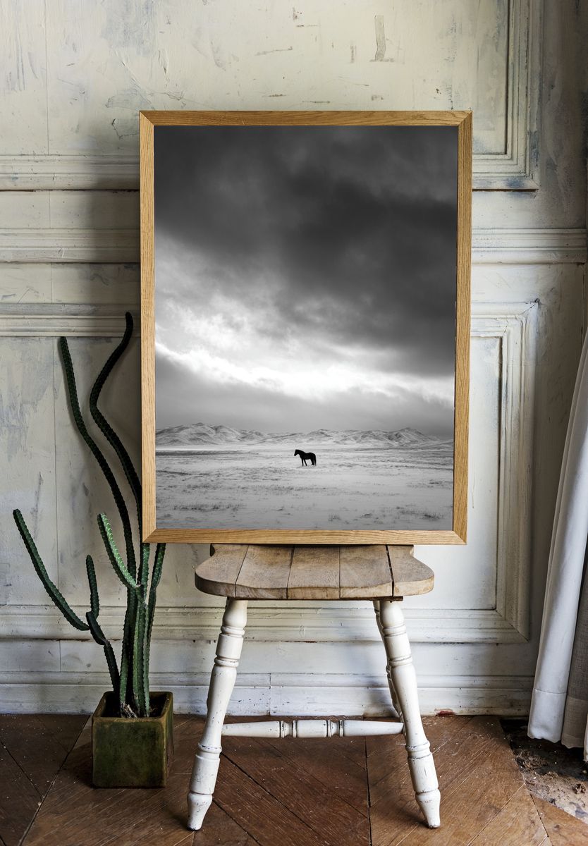 Solitary Horse in Snowy Landscape Poster. — room view 1