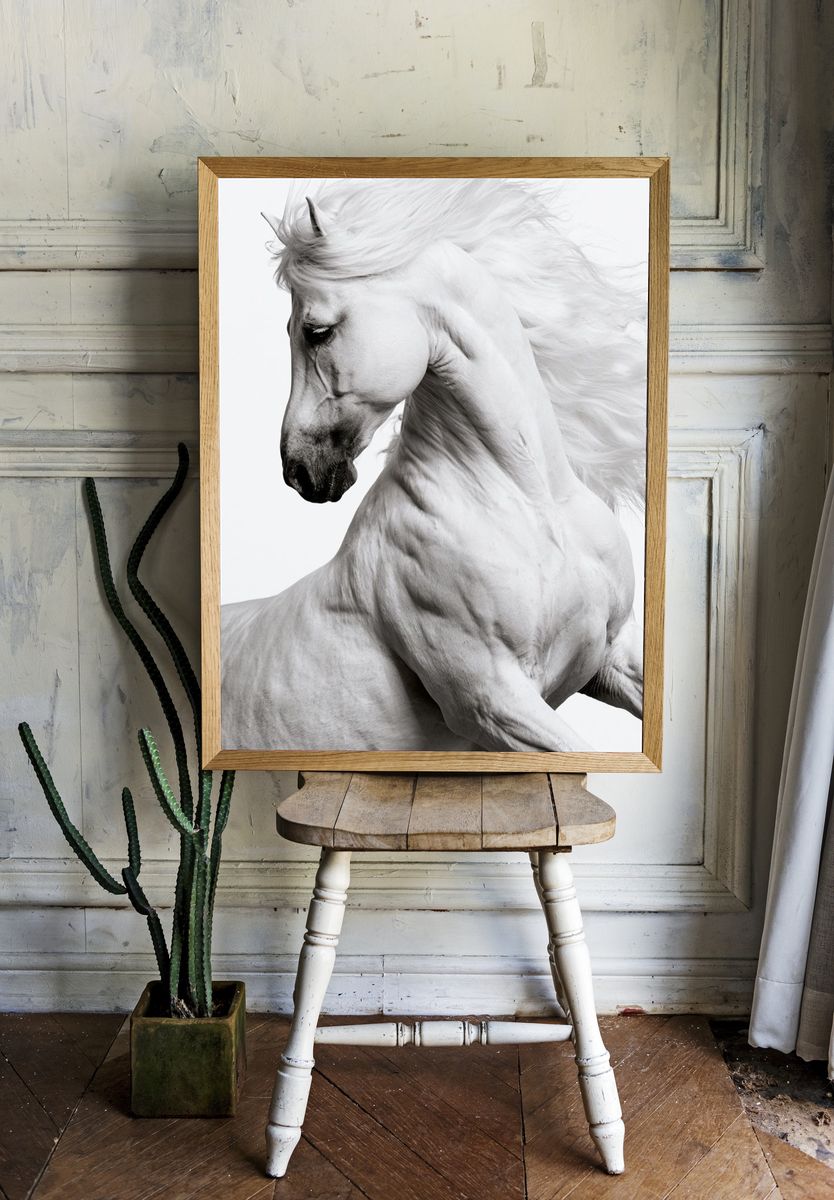 White Horse Portrait Photography Poster. — room view 1
