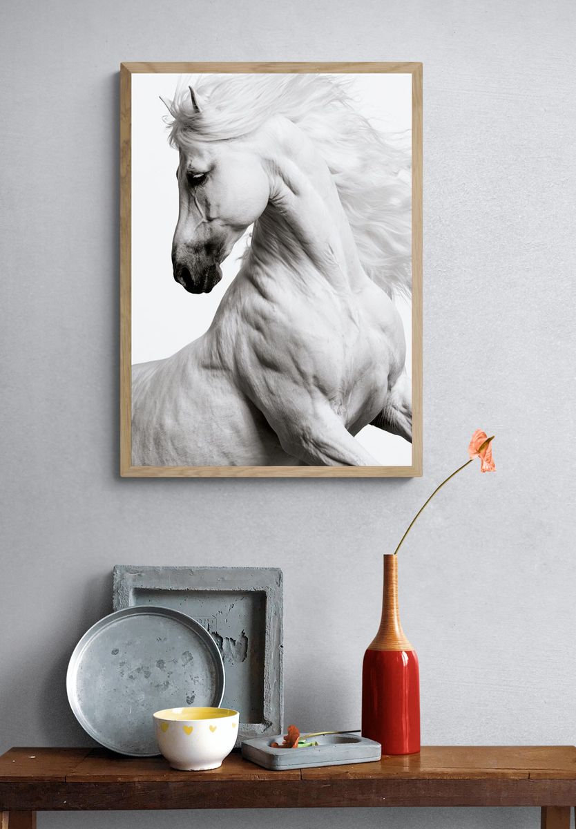 White Horse Portrait Photography Poster. — room view 3