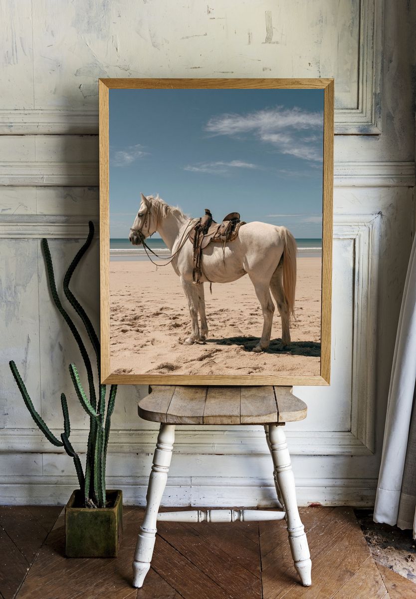 White Horse on Beach Photography Poster. room preview