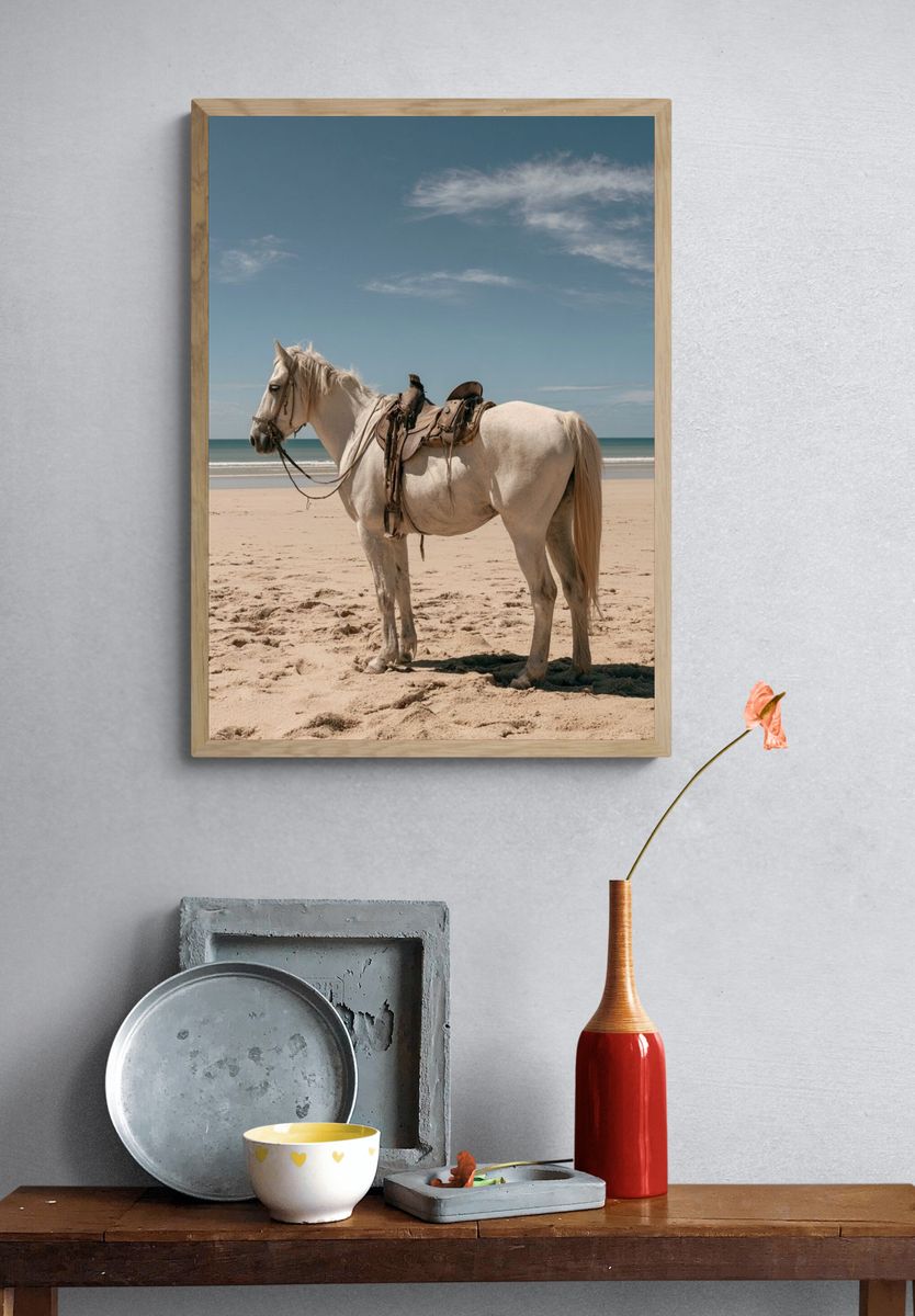 White Horse on Beach Photography Poster. — room view 3