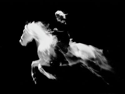 Galloping Horse Black-White Poster. poster