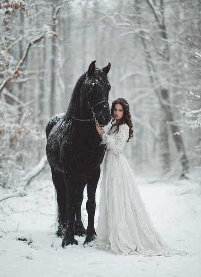 Winter Horse Portrait Print. poster