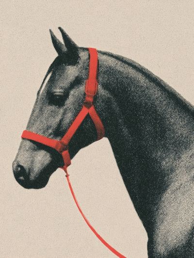 Horse Portrait Vintage Print.