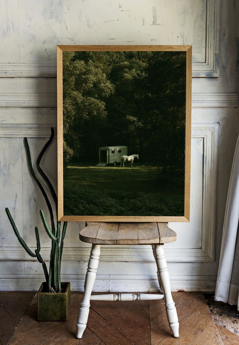 Horse in Forest Clearing Photography Poster. — room view 1