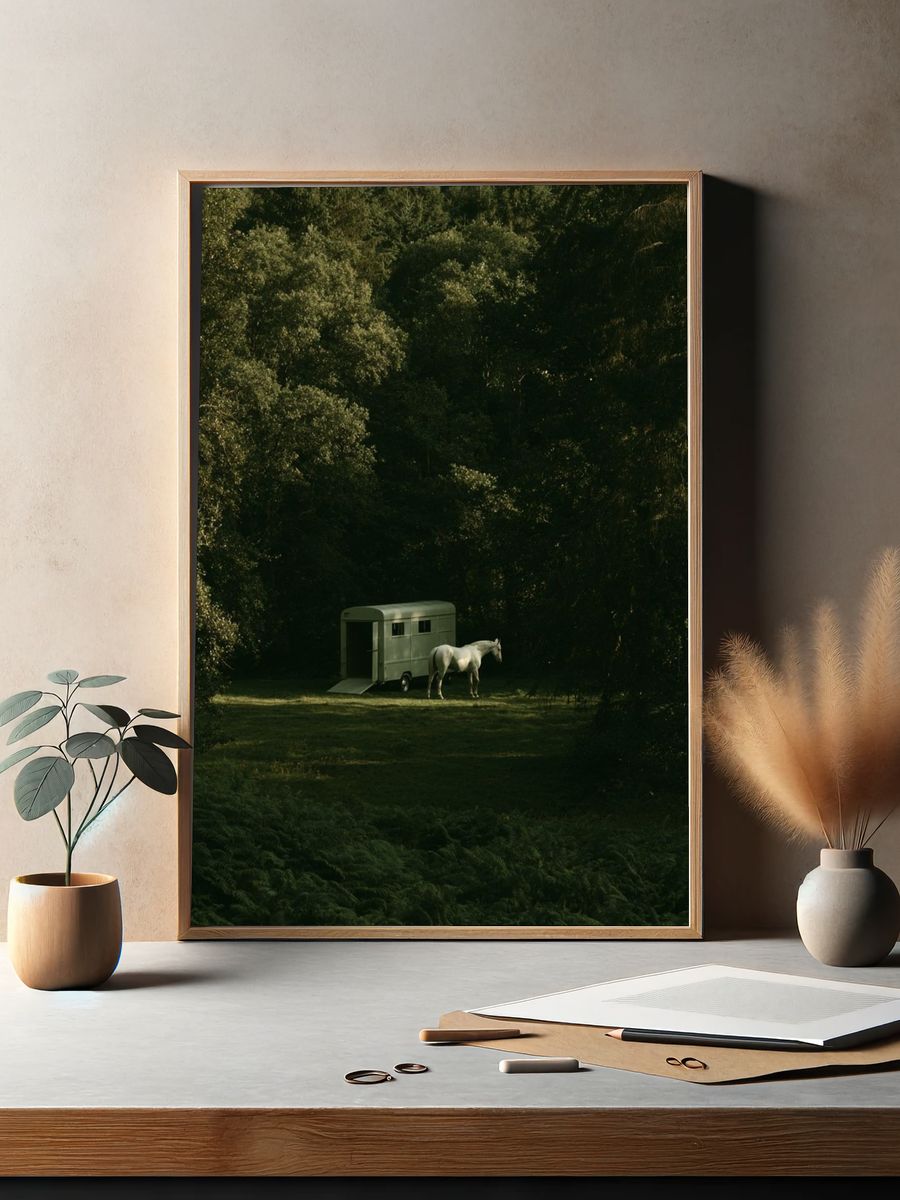 Horse in Forest Clearing Photography Poster. — room view 2