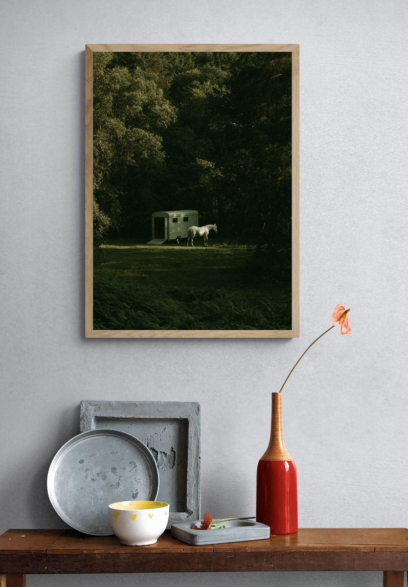 Horse in Forest Clearing Photography Poster. — room view 3