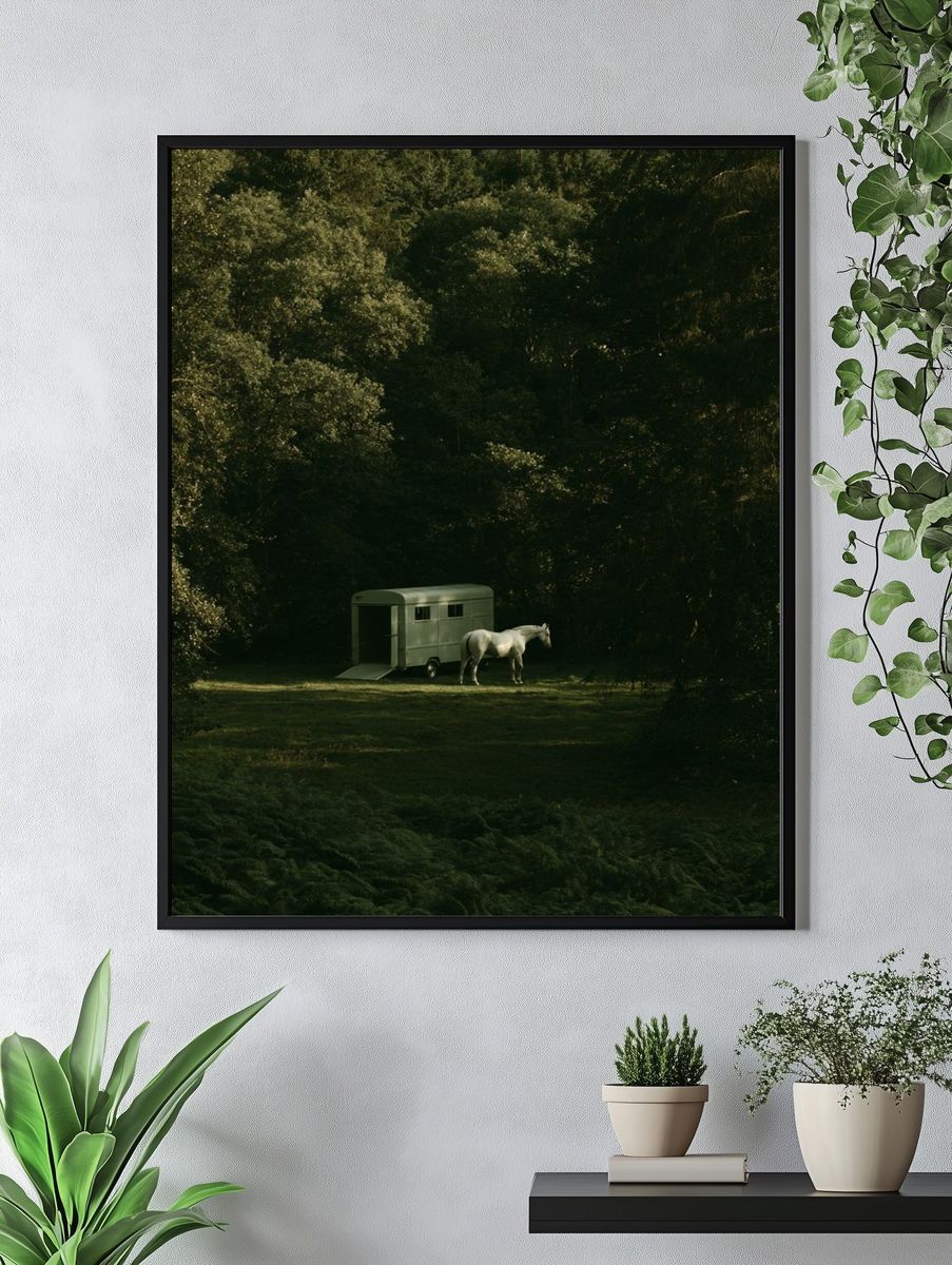 Horse in Forest Clearing Photography Poster. — room view 4