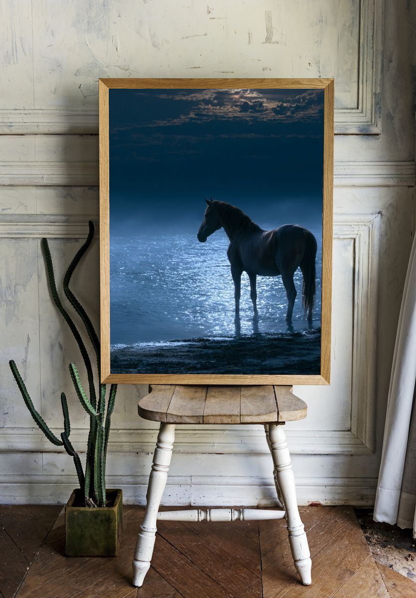 Moonlit Horse by the Water Poster. — room view 1