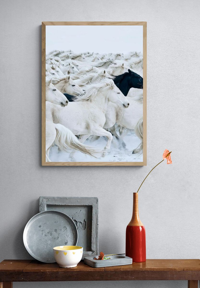White Horses Herd Photography Poster. — room view 3