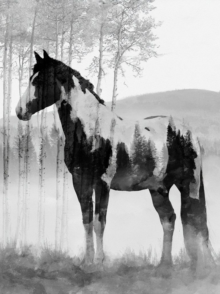Horse in Misty Forest Print. poster detail